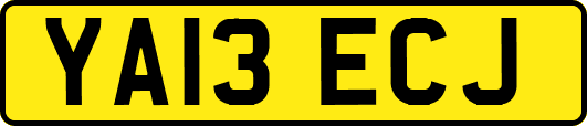 YA13ECJ