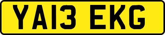 YA13EKG
