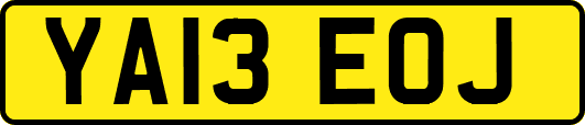 YA13EOJ