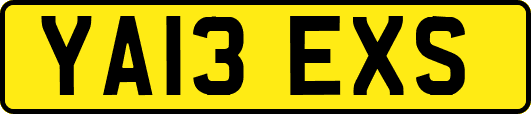 YA13EXS