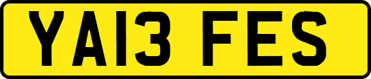 YA13FES