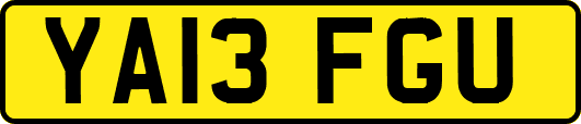 YA13FGU