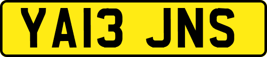 YA13JNS