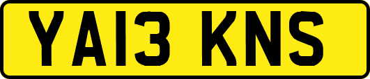 YA13KNS
