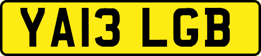 YA13LGB