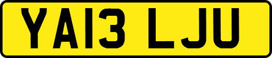 YA13LJU
