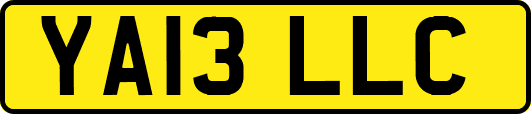 YA13LLC