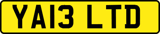 YA13LTD