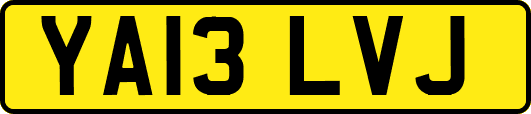 YA13LVJ