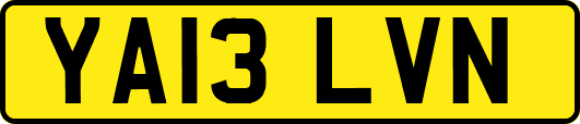 YA13LVN