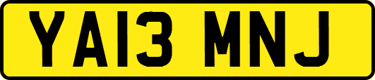 YA13MNJ