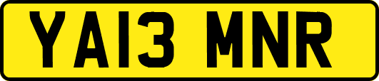 YA13MNR