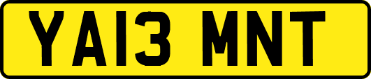 YA13MNT