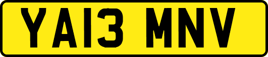 YA13MNV