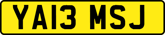 YA13MSJ