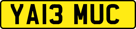 YA13MUC