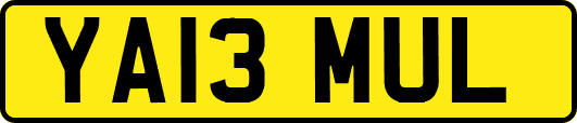 YA13MUL