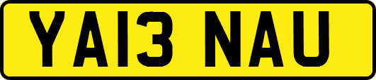 YA13NAU