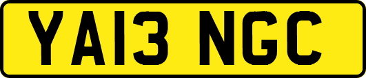 YA13NGC