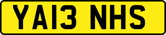 YA13NHS