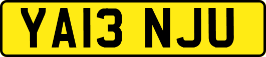 YA13NJU