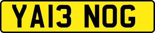 YA13NOG