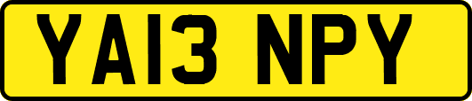 YA13NPY