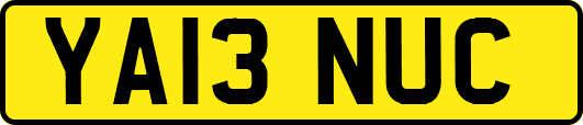 YA13NUC