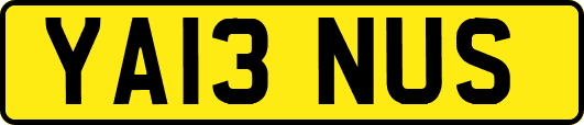 YA13NUS