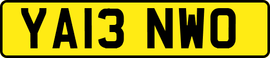 YA13NWO