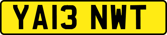 YA13NWT