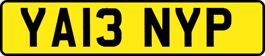 YA13NYP