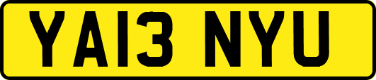 YA13NYU