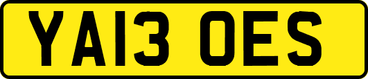 YA13OES