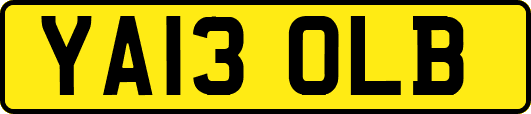 YA13OLB