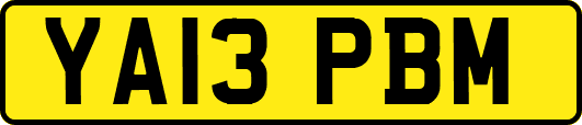 YA13PBM