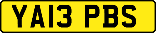 YA13PBS