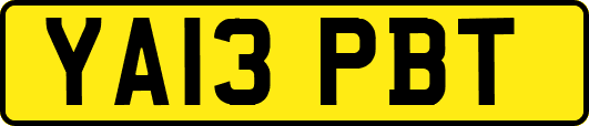 YA13PBT