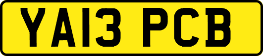 YA13PCB