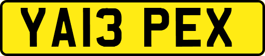 YA13PEX