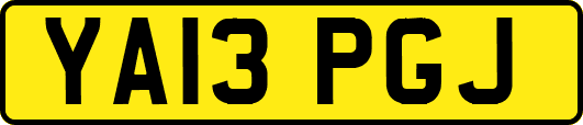 YA13PGJ