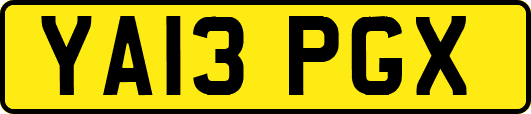 YA13PGX