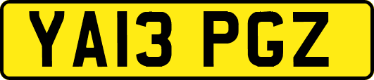 YA13PGZ