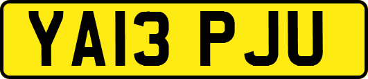 YA13PJU