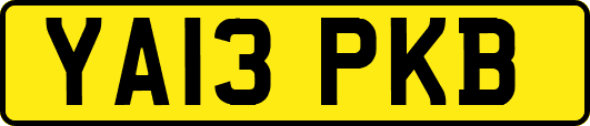 YA13PKB