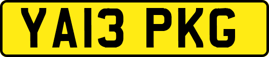 YA13PKG
