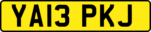YA13PKJ