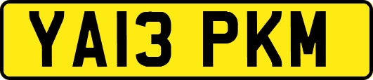 YA13PKM