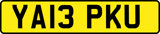 YA13PKU