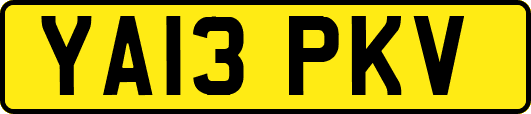 YA13PKV
